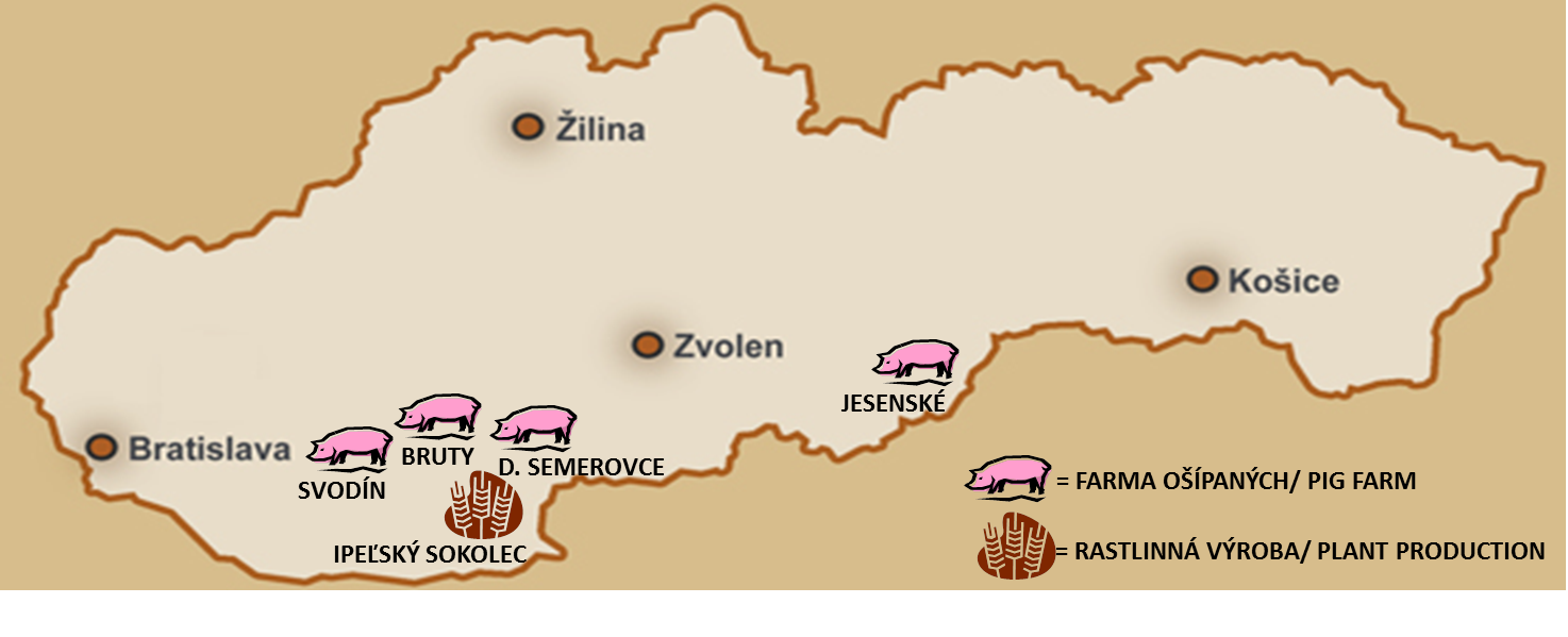 Pigagro farms in Slovakia